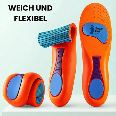 Paar orthopädische Einlegesohlen