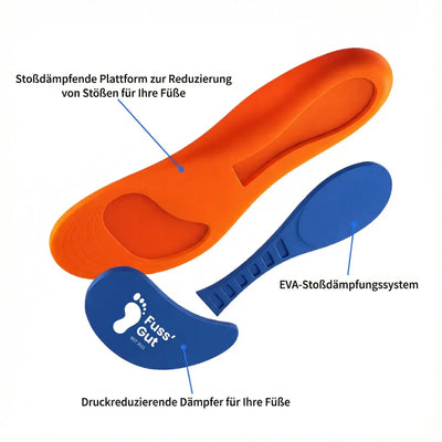 Paar orthopädische Einlegesohlen