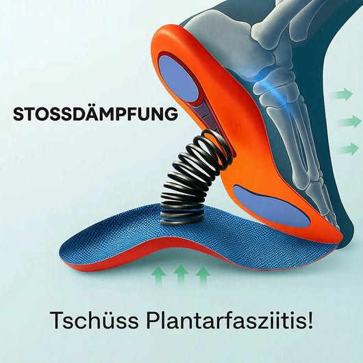 Paar orthopädische Einlegesohlen